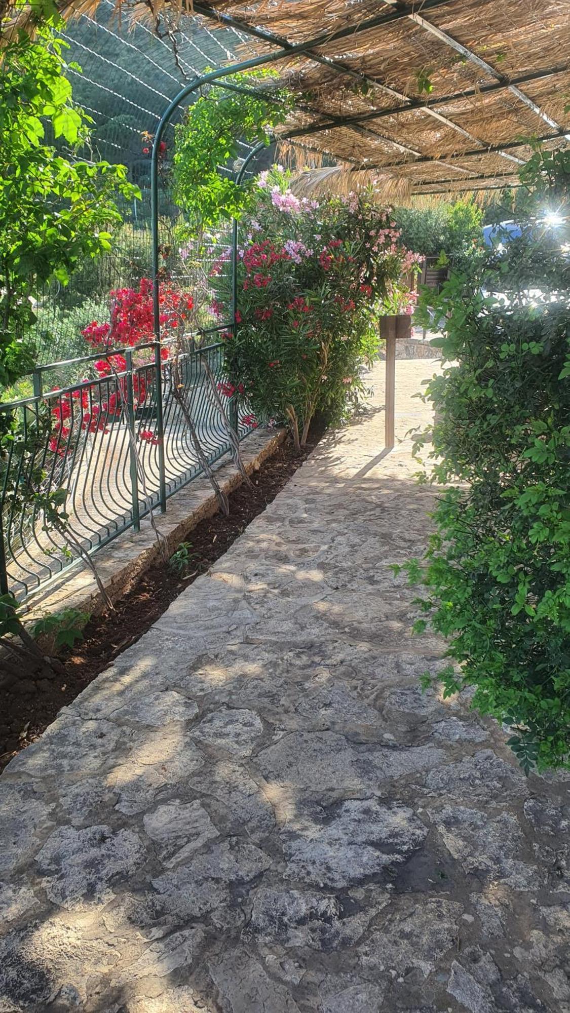 فيلا Palma Dello Zingaro سكوبيلو المظهر الخارجي الصورة